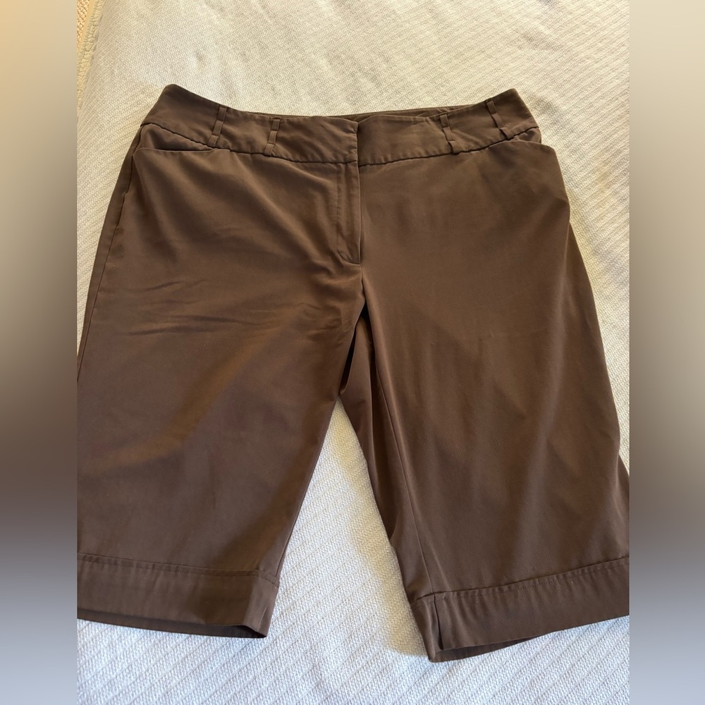 Apartment 9 brown dressy capris. Size 20W
